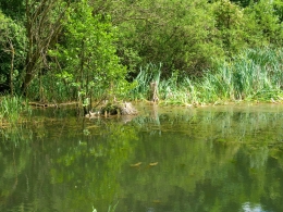 Fotografie z bohoslužby (2009)